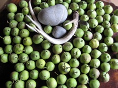 coffee-table-pears