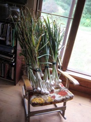garlic-chair